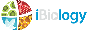 iBiology logo